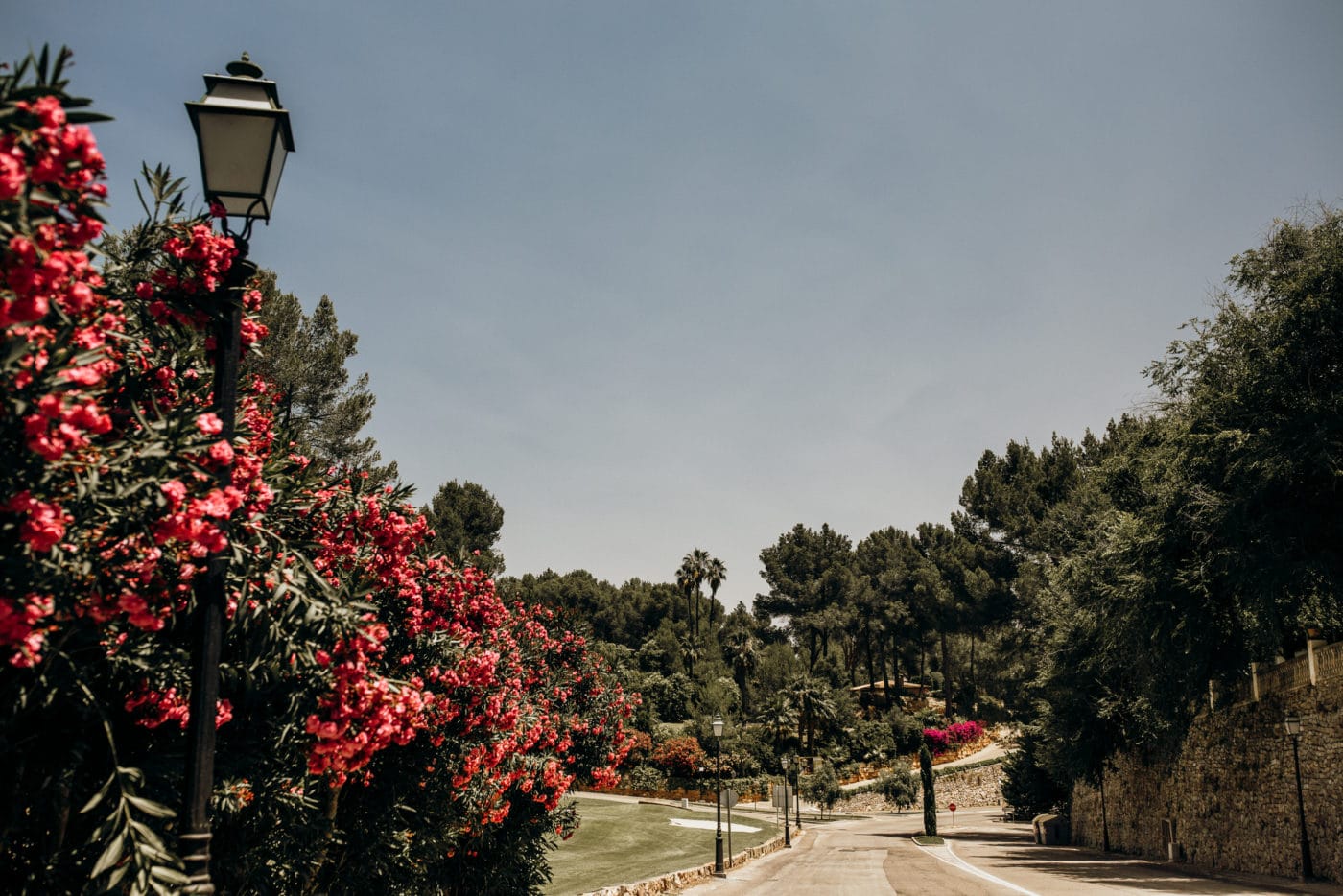 Way to the wedding venue Hotel Castillo Son Vida in Majorca.